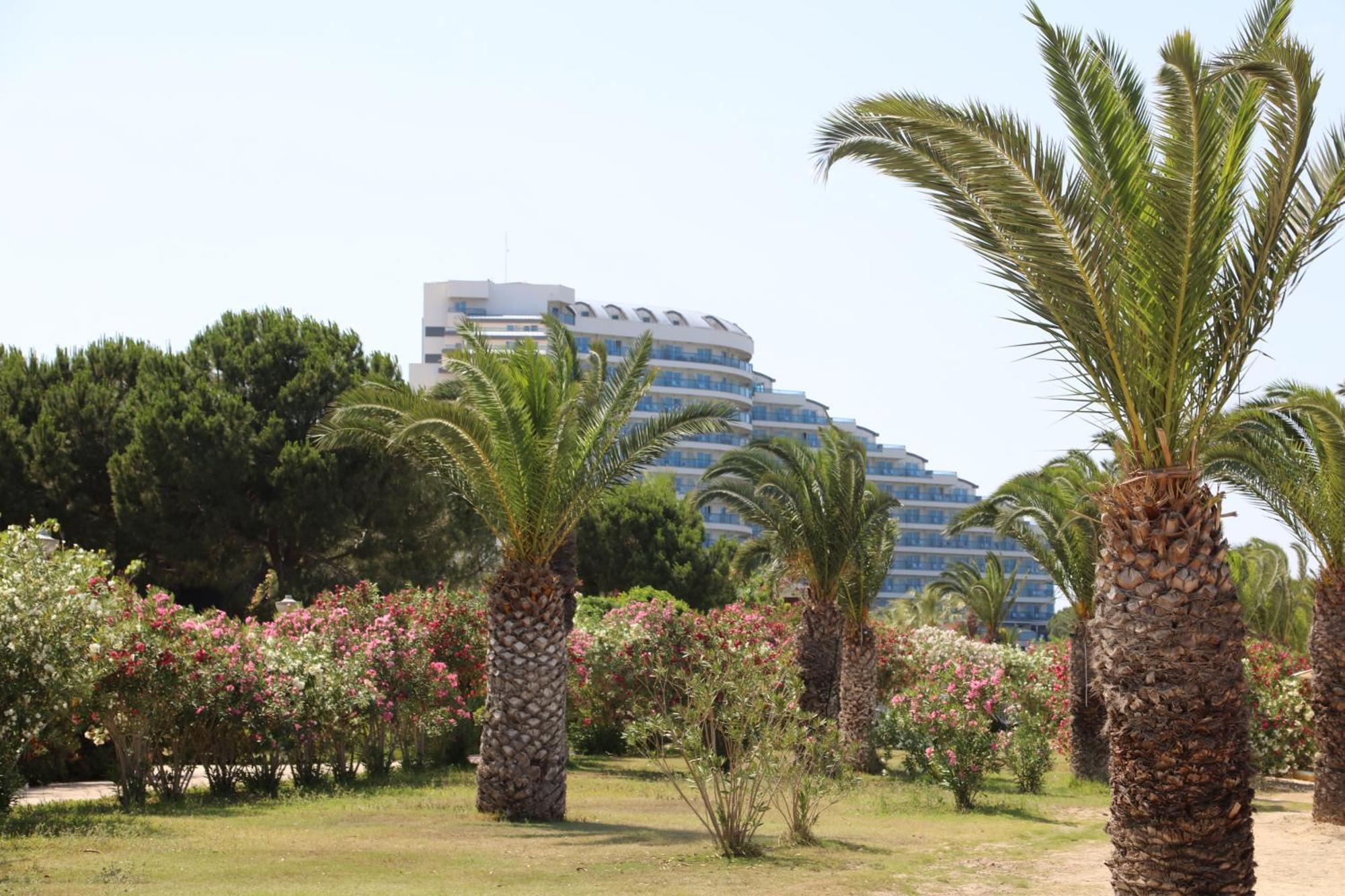 Venosa Beach Resort&Spa - All Inclusive Didim Exterior foto